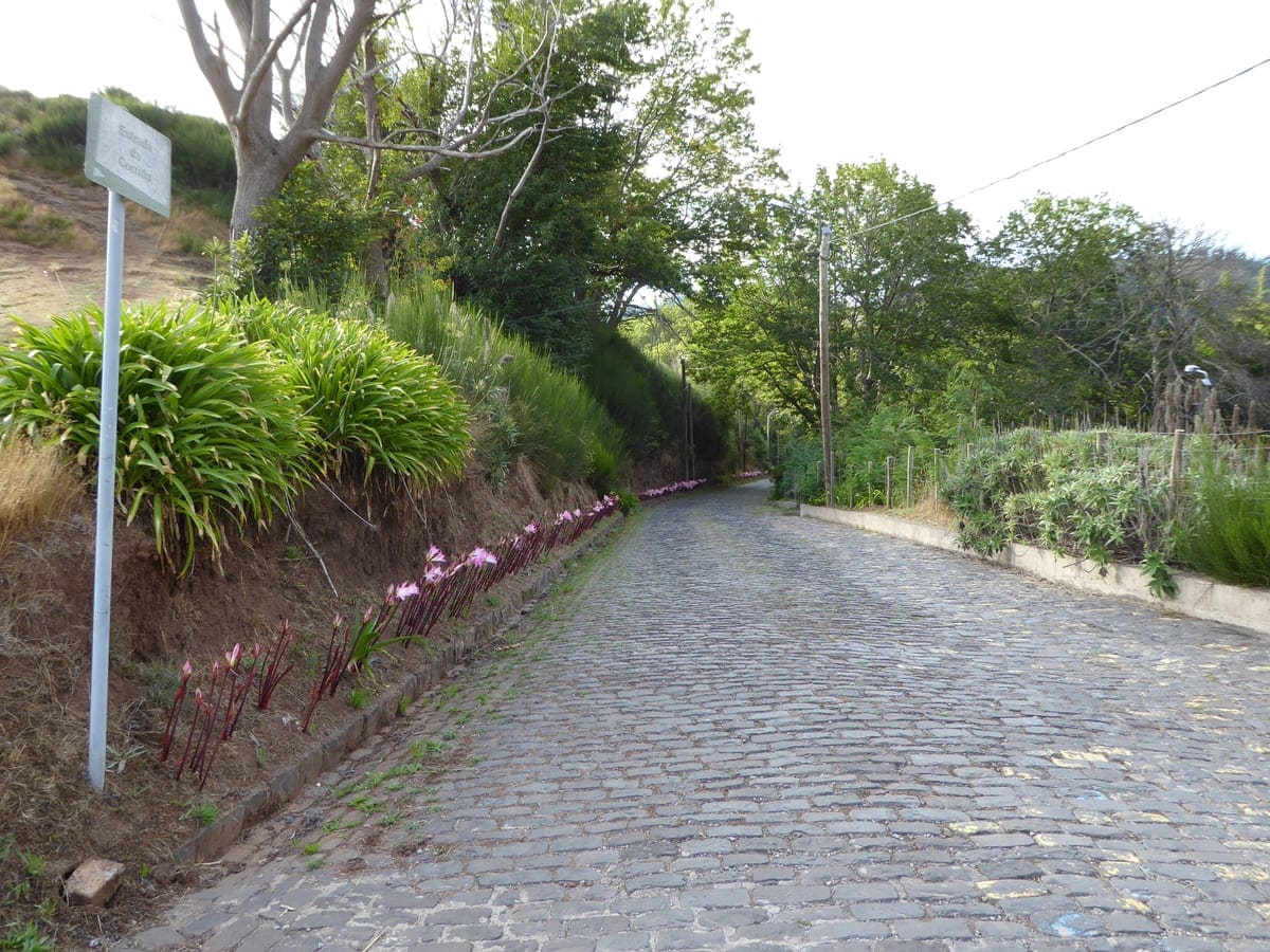 2015 Madeira Pana (108)